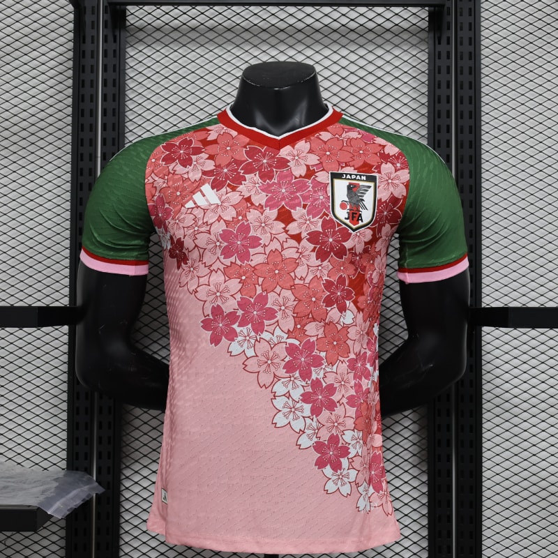 Especial Japon 2024 VJ imagen 45