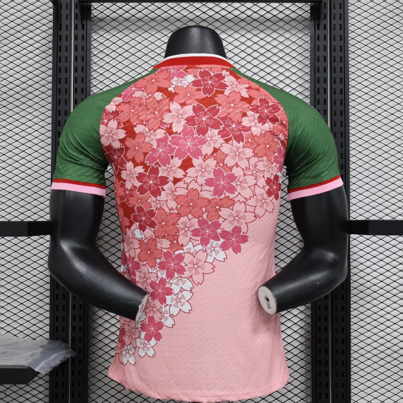 Especial Japon 2024 VJ imagen 46