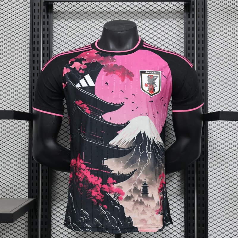 Especial Japon 2025 VJ imagen 13