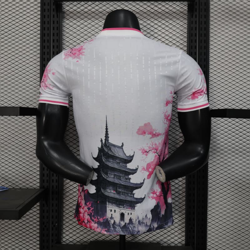 Especial Japon 2025 VJ imagen 84