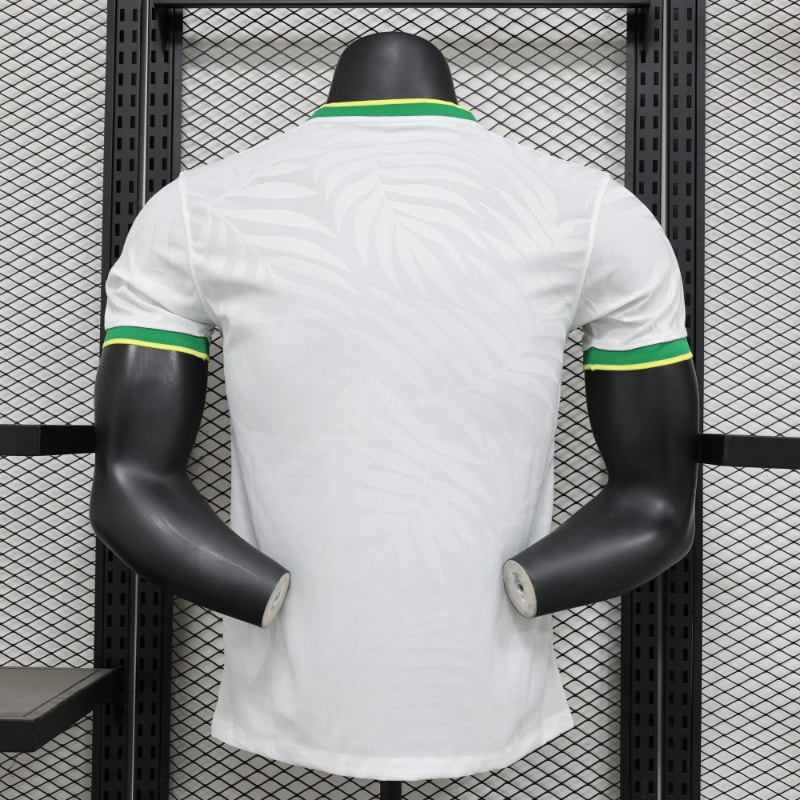 Especial Brasil 2024 VJ imagen 28