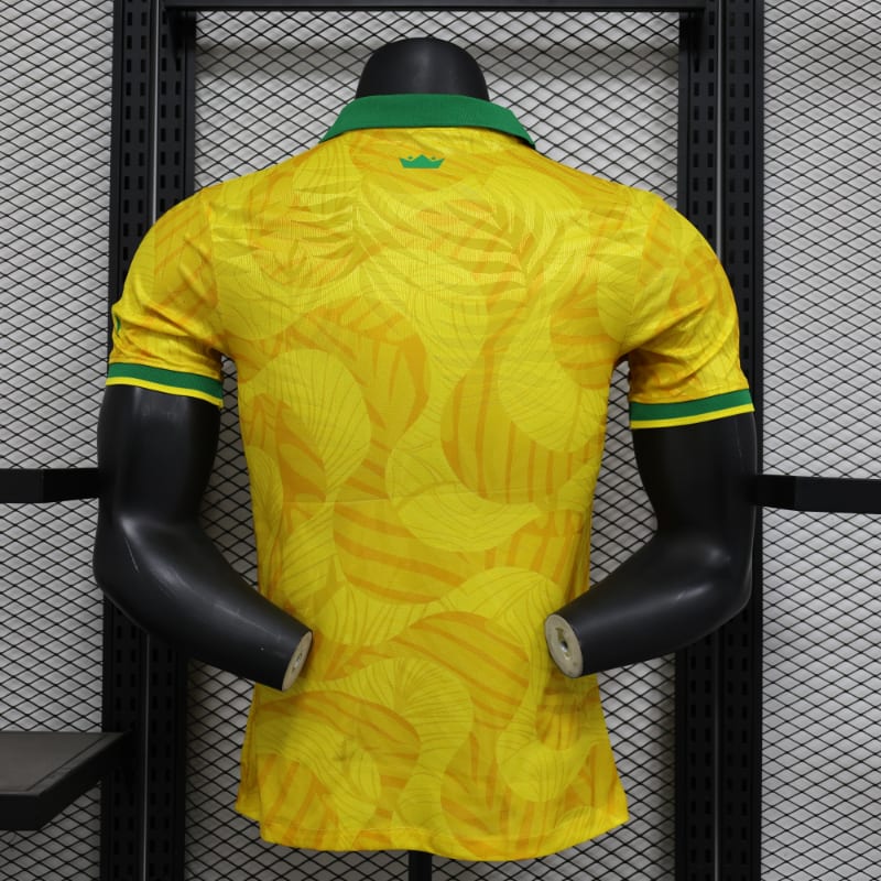 Especial Brasil 2025 VJ imagen 2