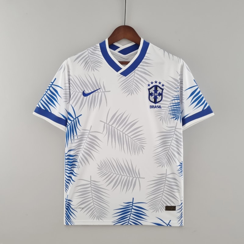 Brasil especial 2022 imagen 3