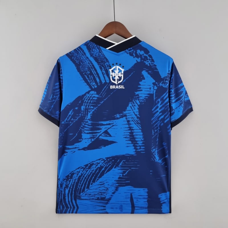 Brasil especial 2022 imagen 6