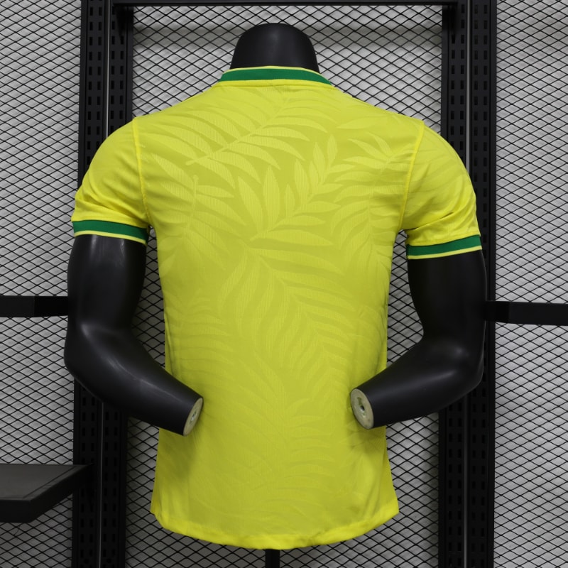 Especial Brasil 2024 VJ imagen 26