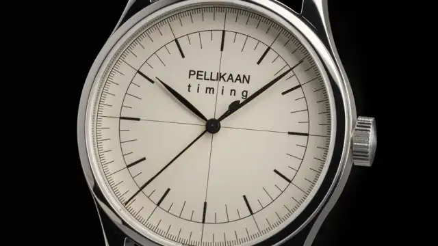 Pelikaan Timing: Hendrik Lorentz