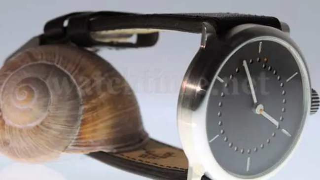 Ochs und Junior Mese