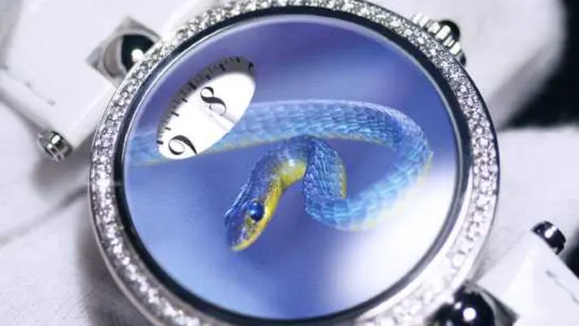 Angular Momentum Blue Snake