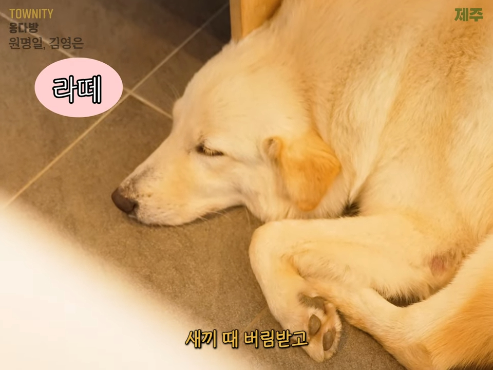 주요 장면 8