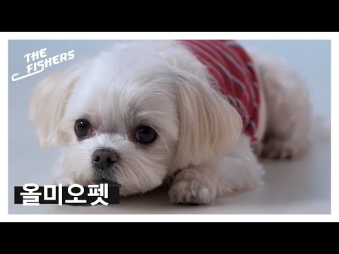 더피셔스 작품