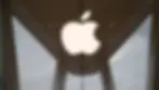 Large white Apple logo on a glass facade, reflecting a wooden ceiling with lights. Overcast sky visible through the glass, creating a sleek look.