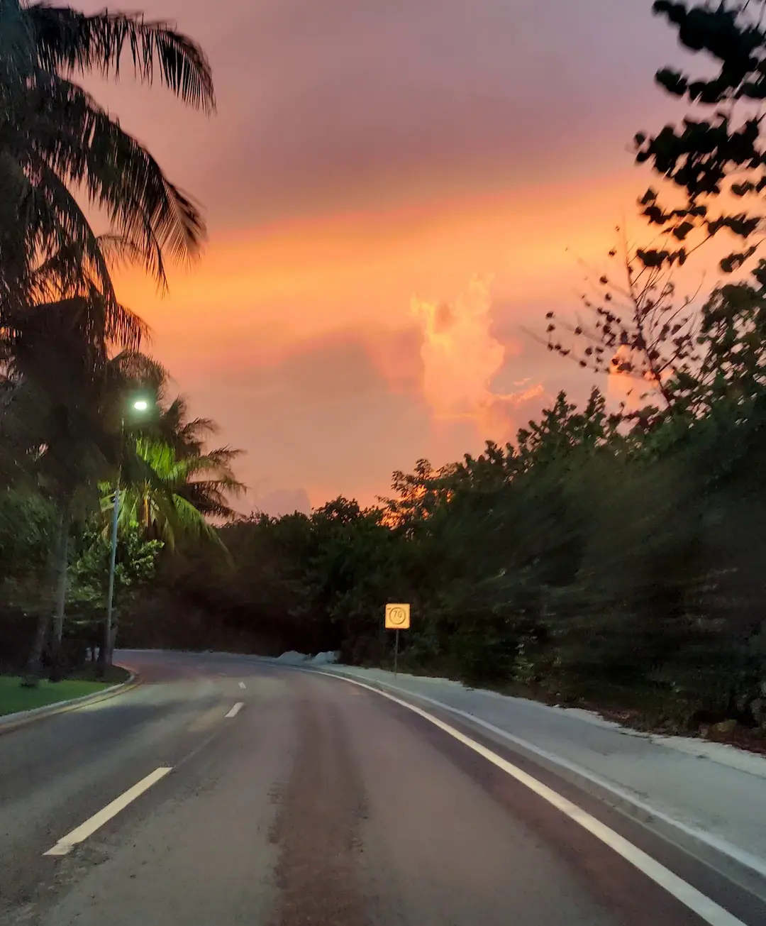 Beautiful tropical road in Quintana Roo, Mexico
