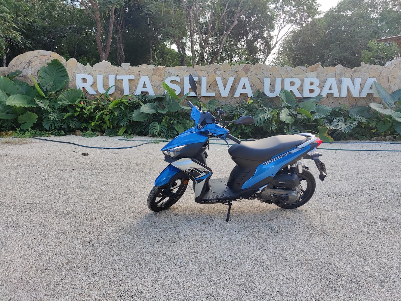Scenic road on the Ruta de los Cenotes near Puerto Morelos
