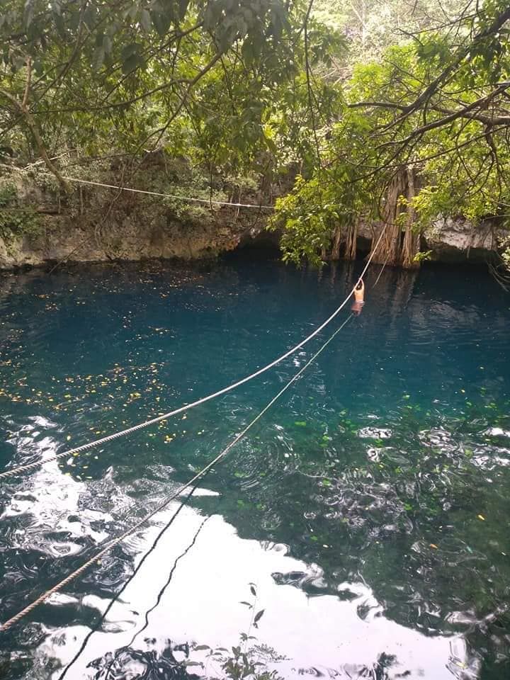 Lush vegetation surrounding the clear waters of Cenote Verde Lucero