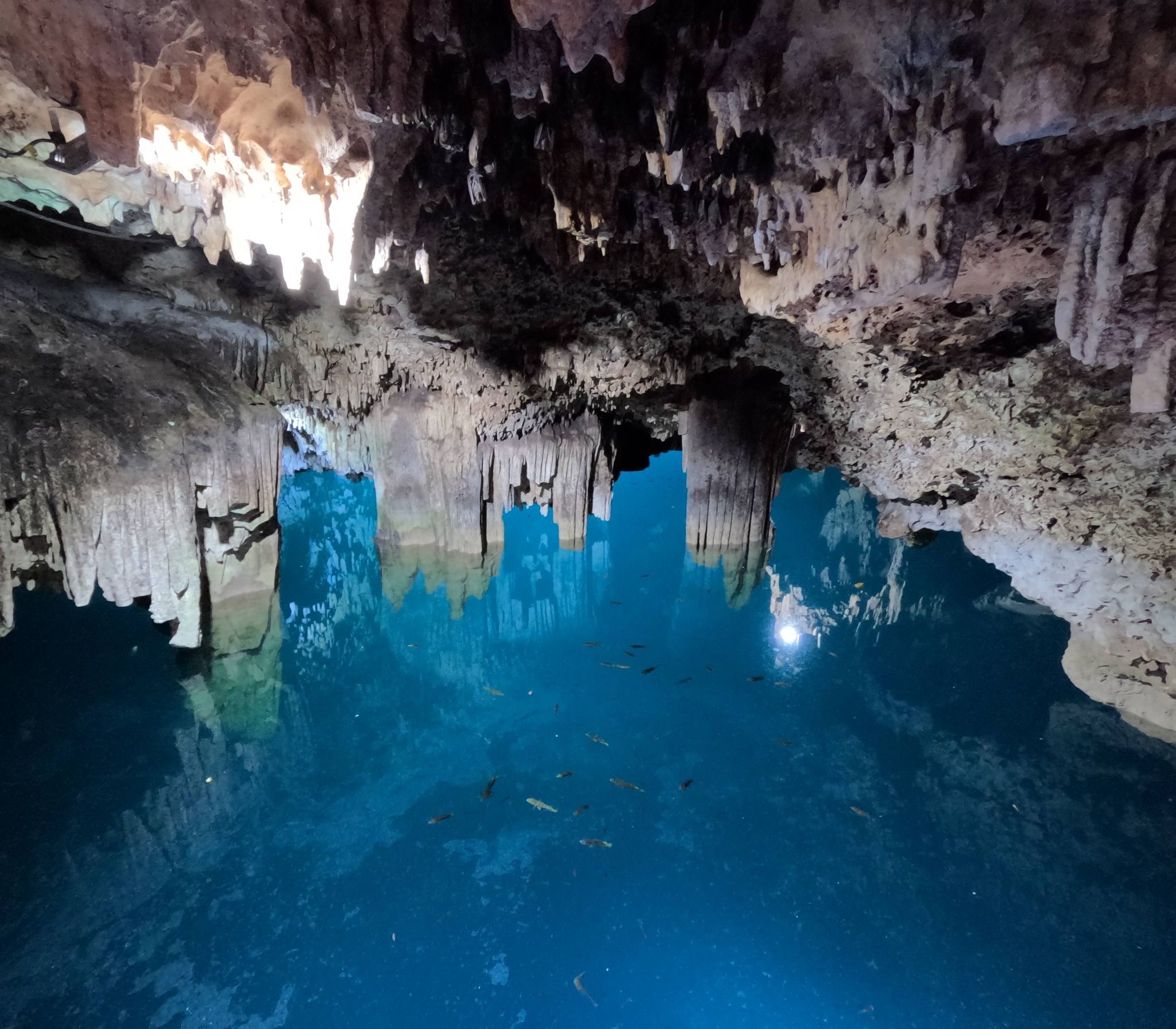 Sunlight streaming through one of the openings at Cenote Siete Bocas