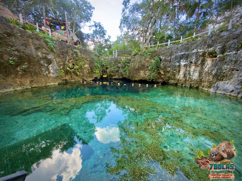 great view of Cenote Siete Bocas
