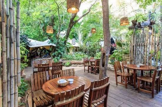 Jungle-style seating area at La Cueva del Chango in Playa del Carmen