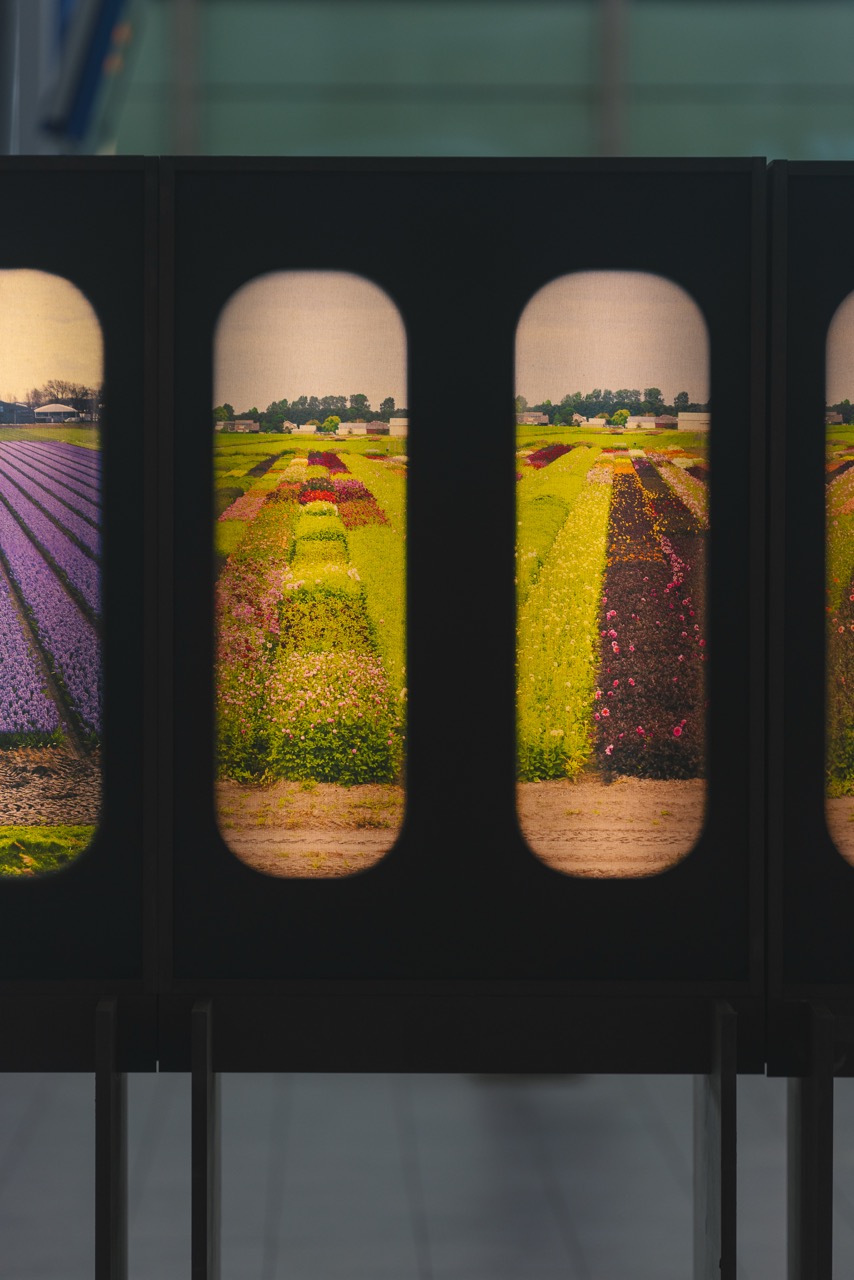 Field of View 4