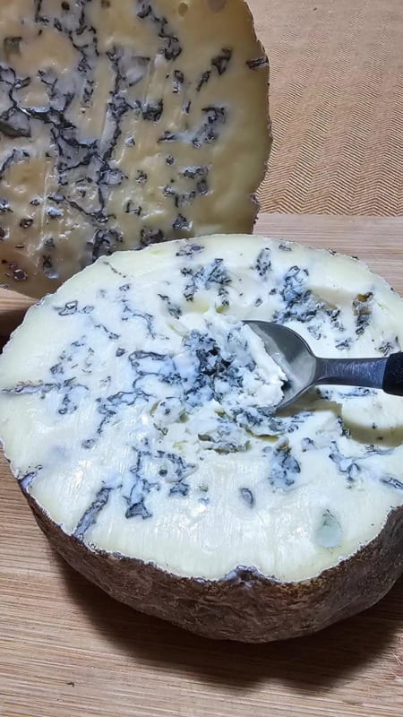 Queijo tipo gorgonzola de colher - Serra das Antas