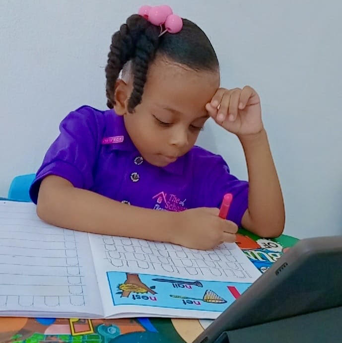 Preschool Level 1/2 Classes