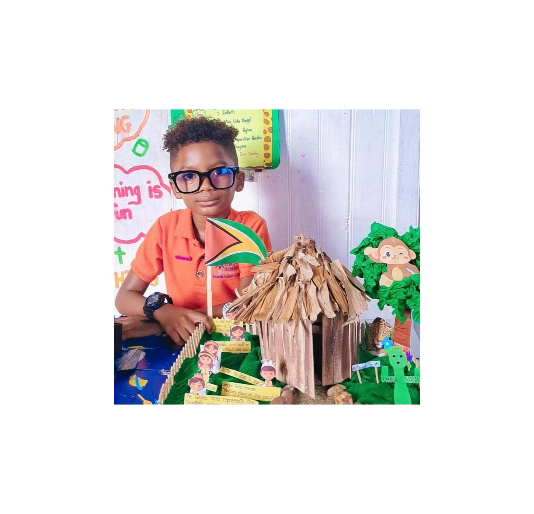 Zayn and his project.