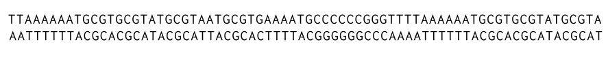 A nonsense string of DNA bases