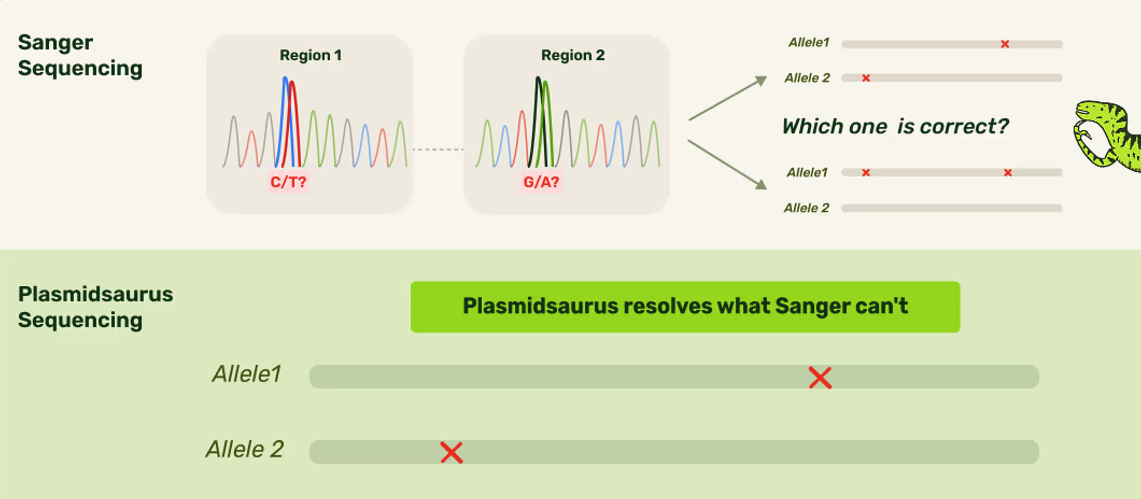 Genotyping Analysis explainer