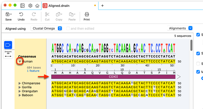 SnapGene MSA