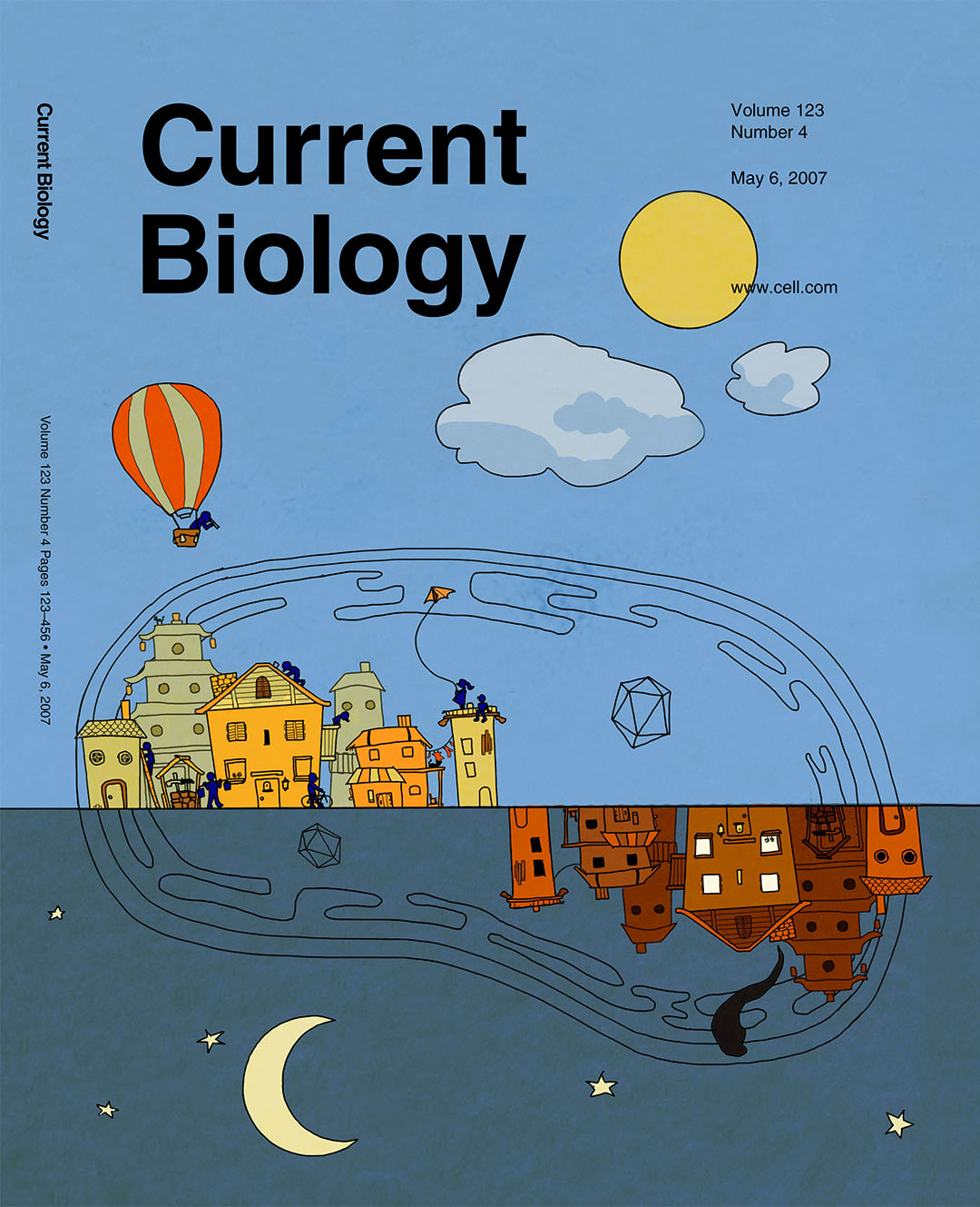 Day and Night — scientific illustration for Current Biology