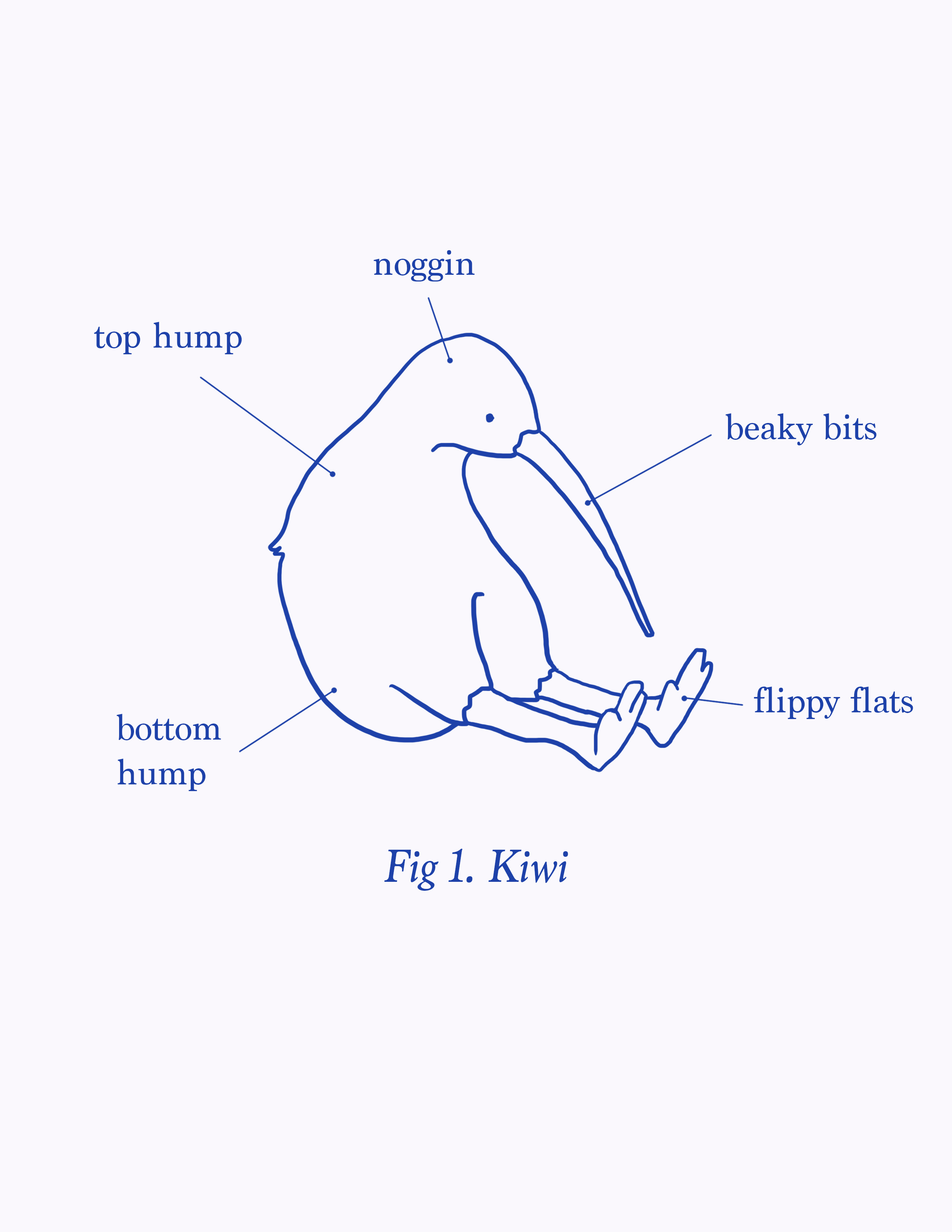Fig 1. Kiwi — screen print