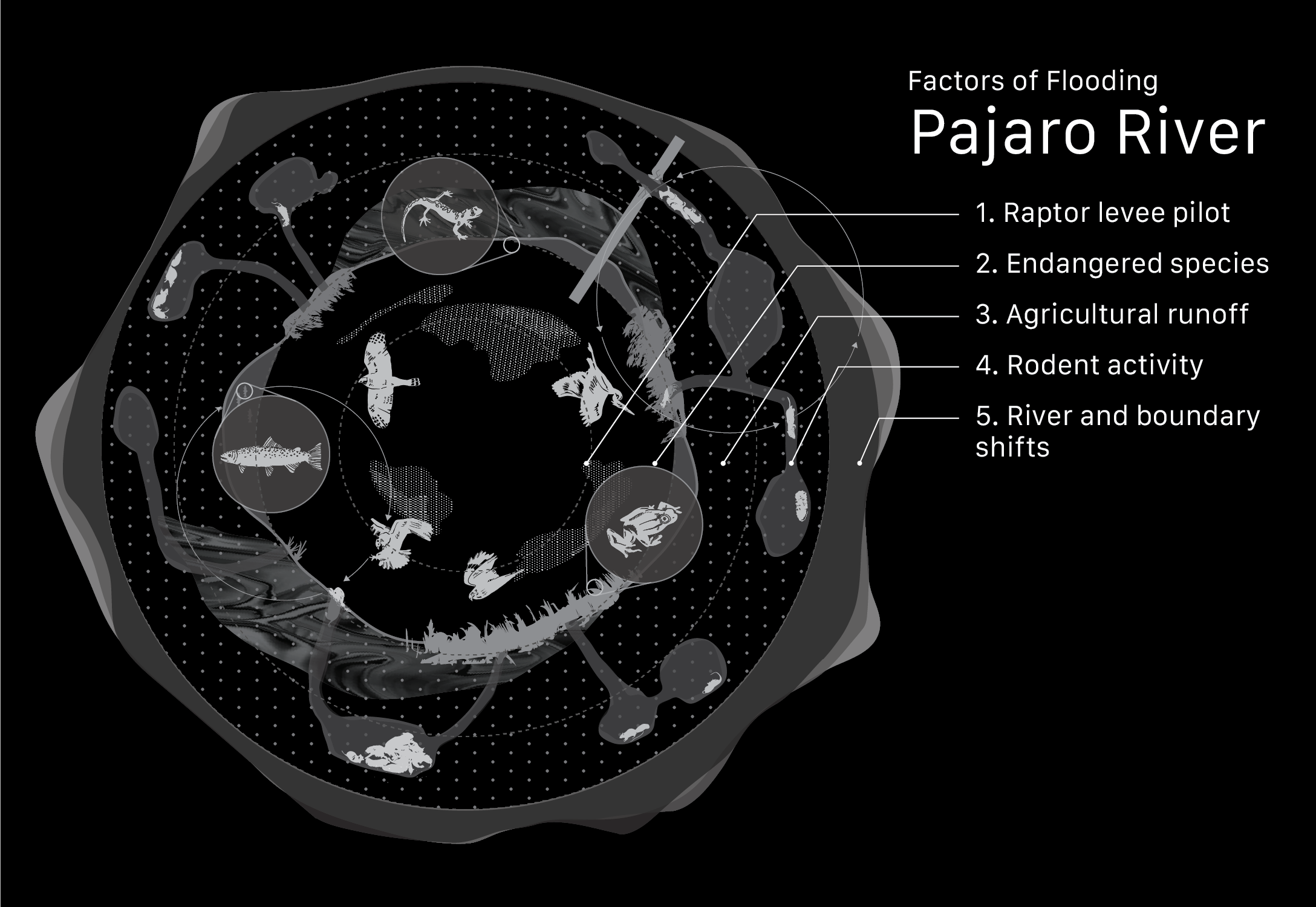 Factors of Flooding: Pajaro River — scientific illustration