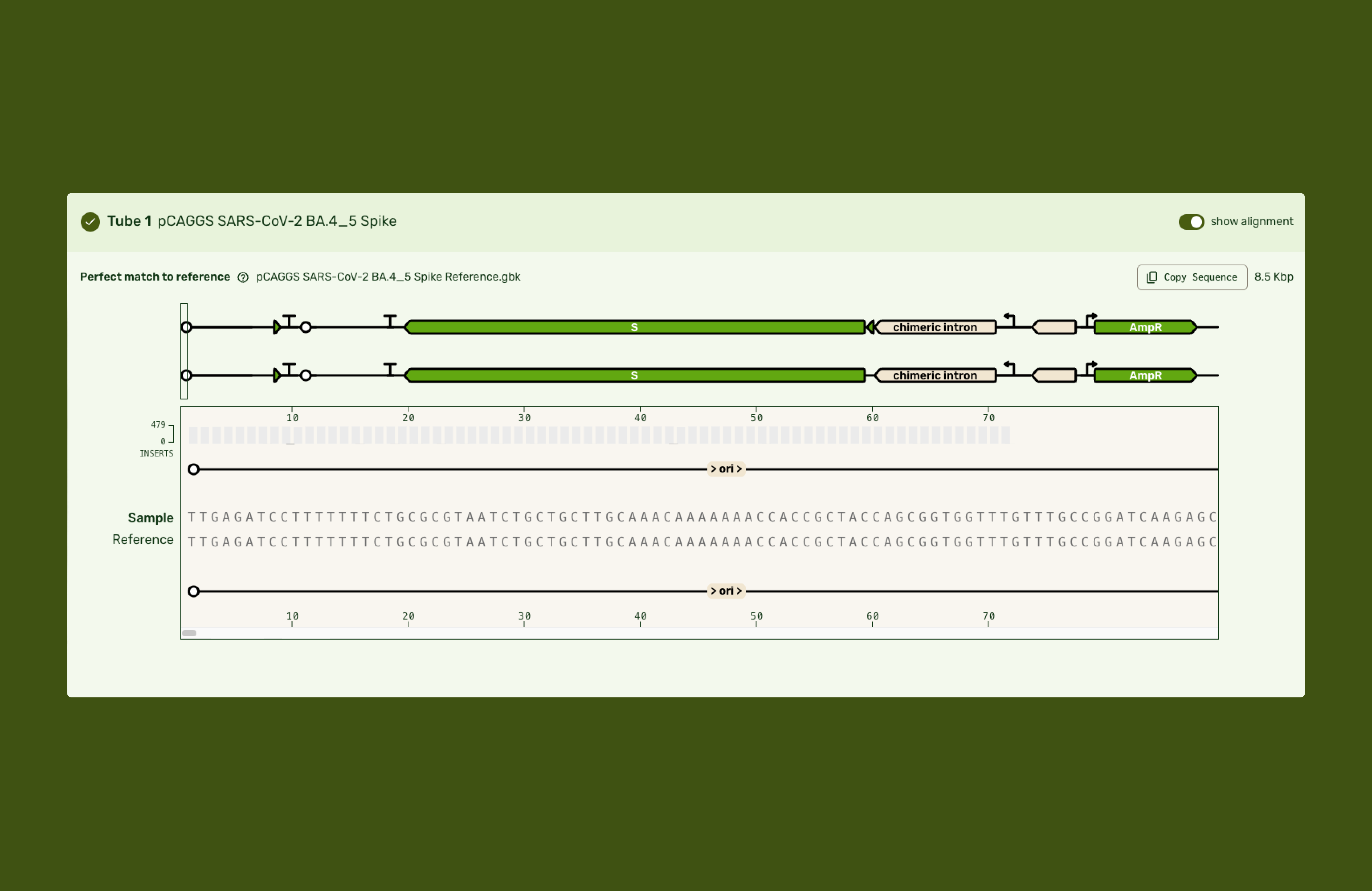 Base Sequence Viewer