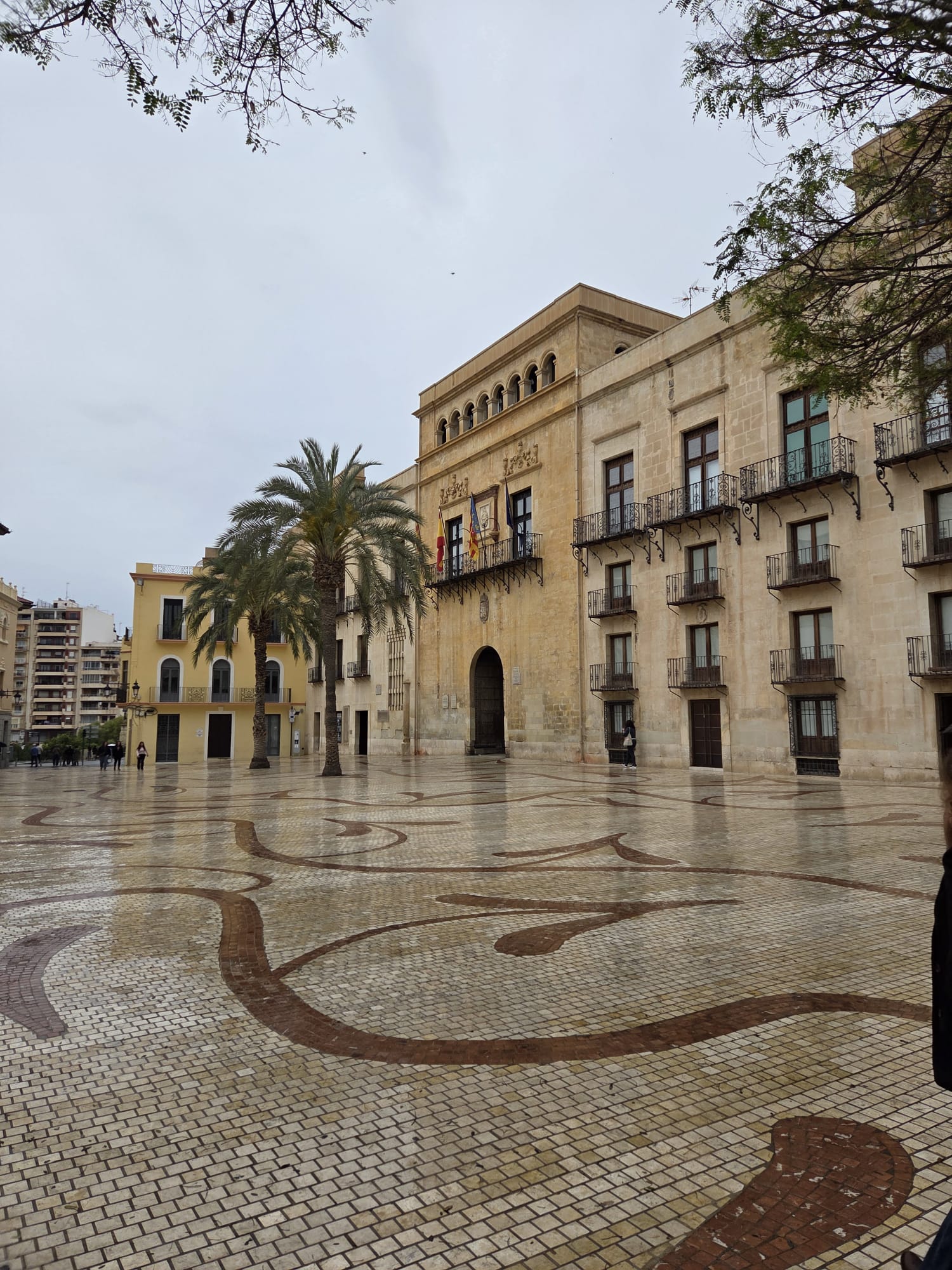 Discover Elche
