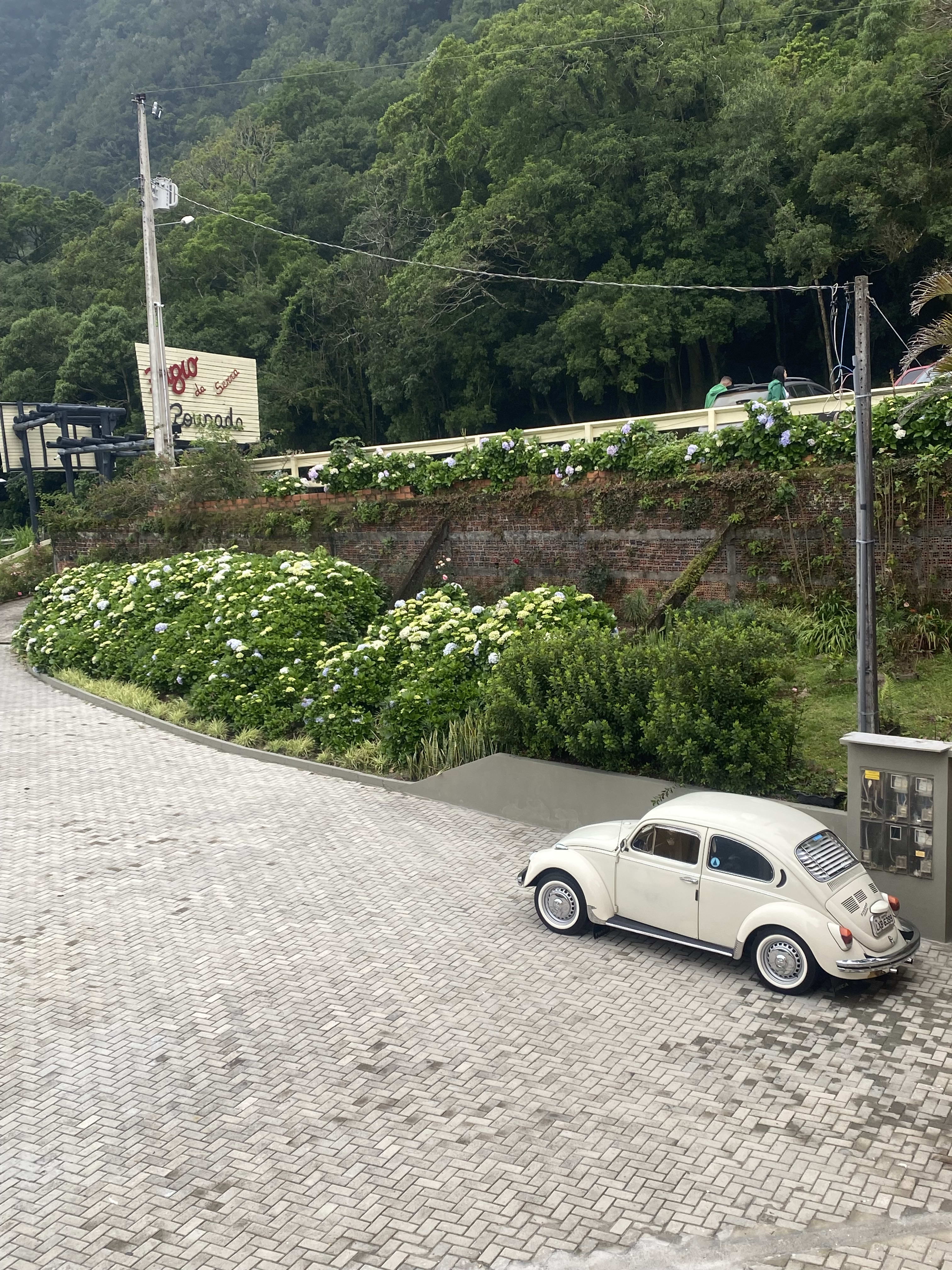 Novo carro desbloqueado — foto 3 de 3