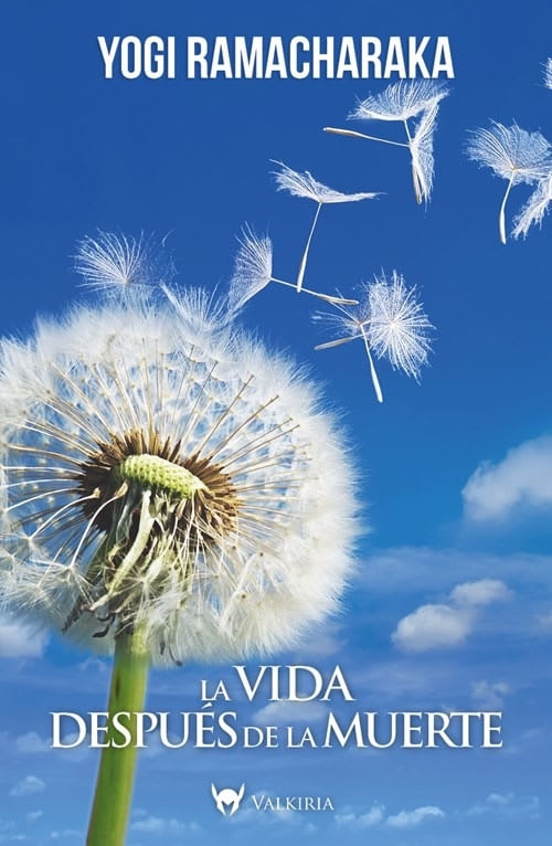 LA VIDA DESPUES DE LA MUERTE - YOGUI RAMACHARAKA