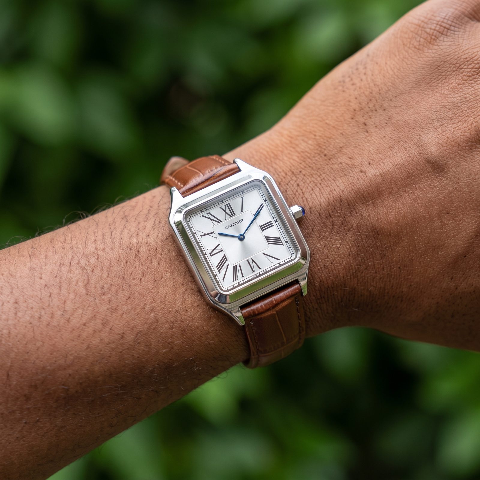 Cartier Santos-Dumont view 2