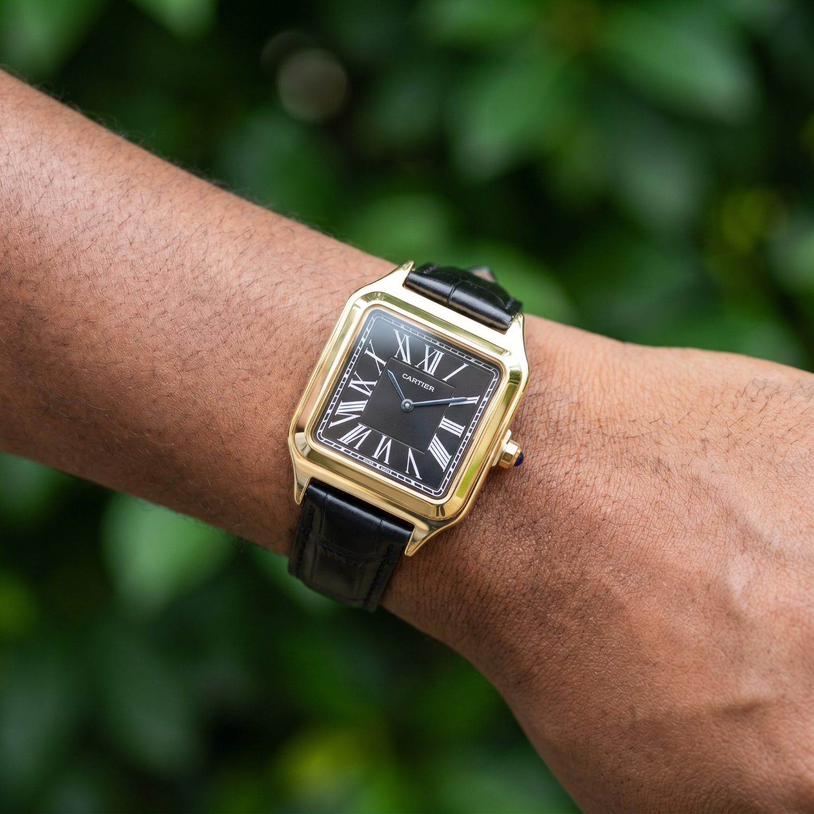 Cartier Santos-Dumont view 2