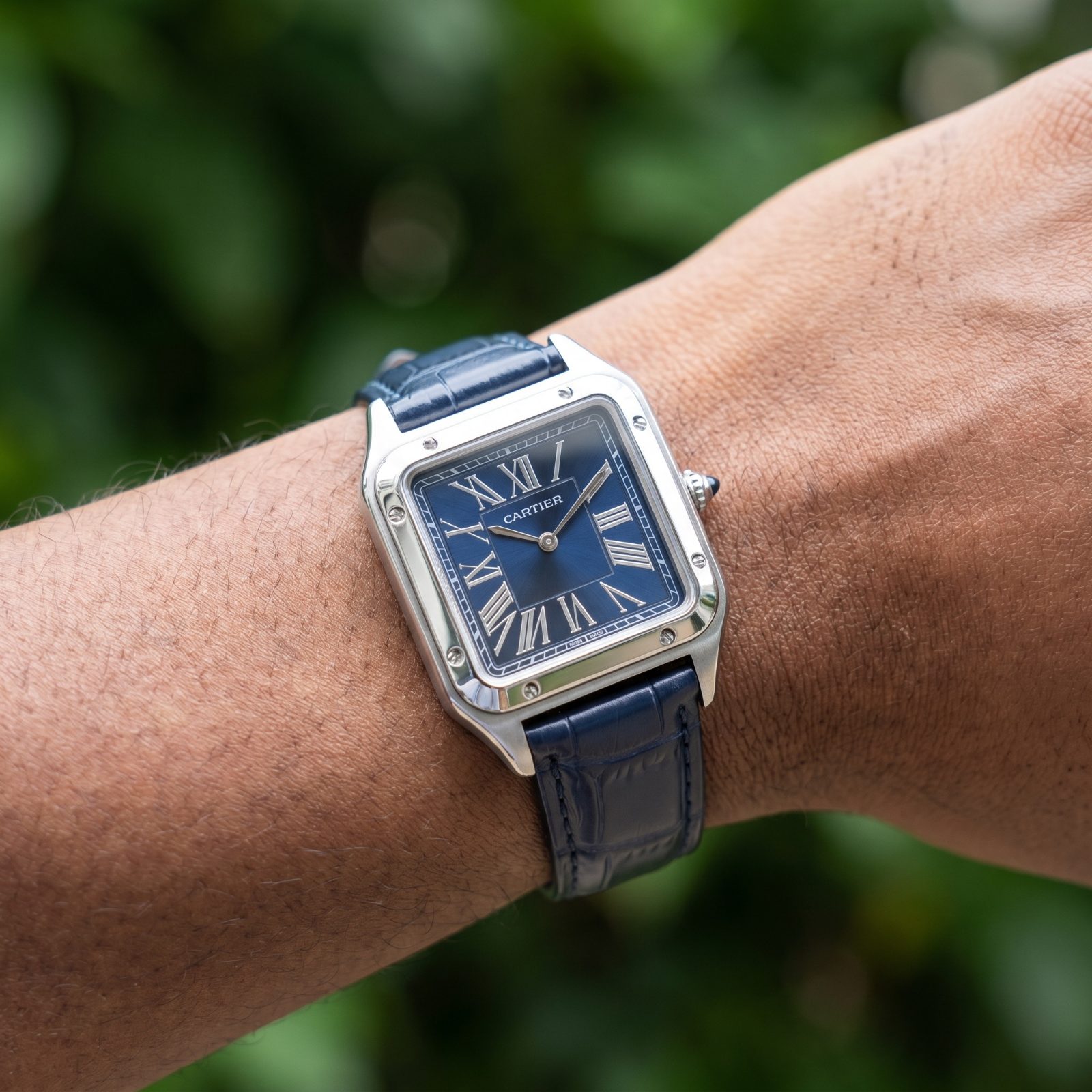 Cartier Santos-Dumont view 2
