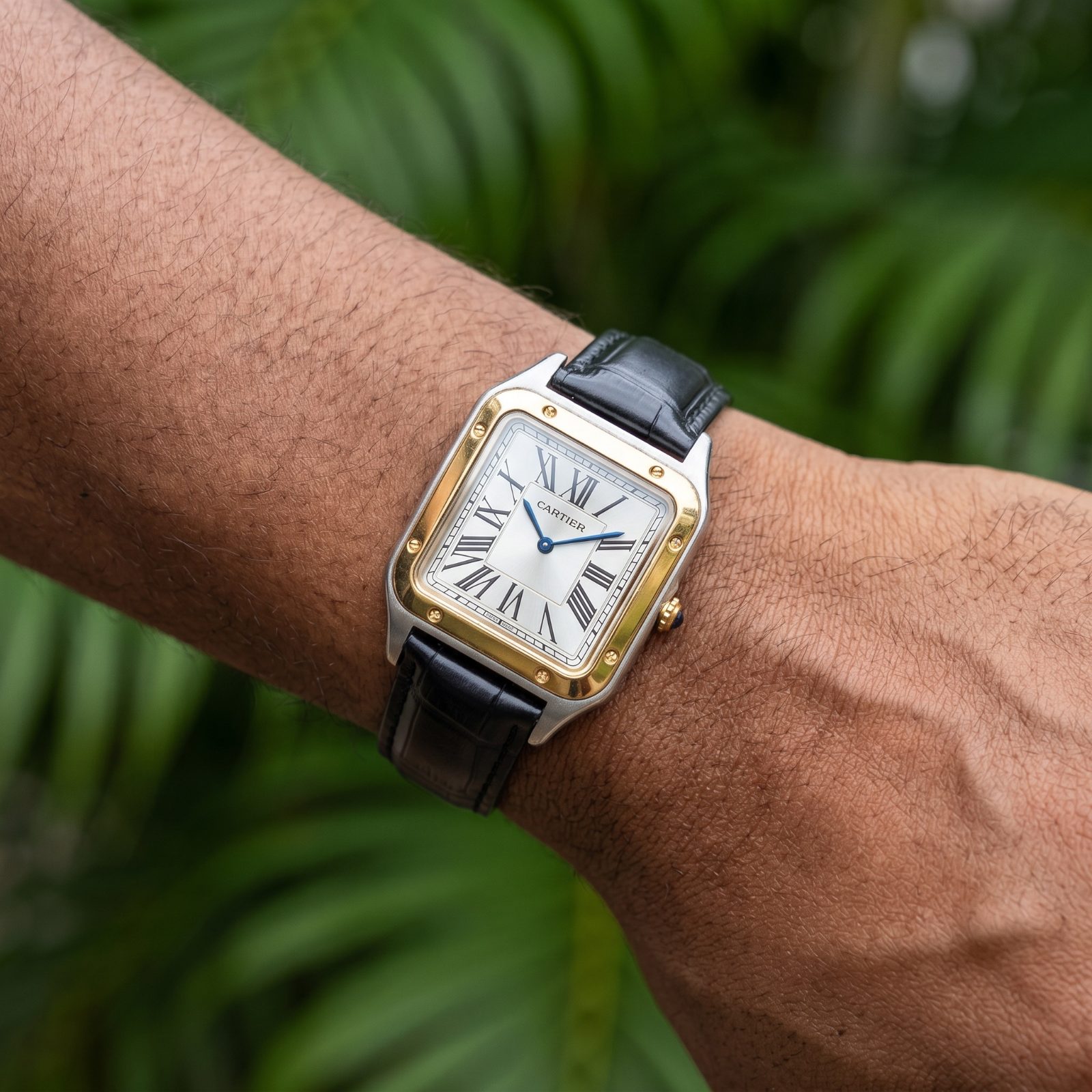 Cartier Santos-Dumont Two-Tone view 2