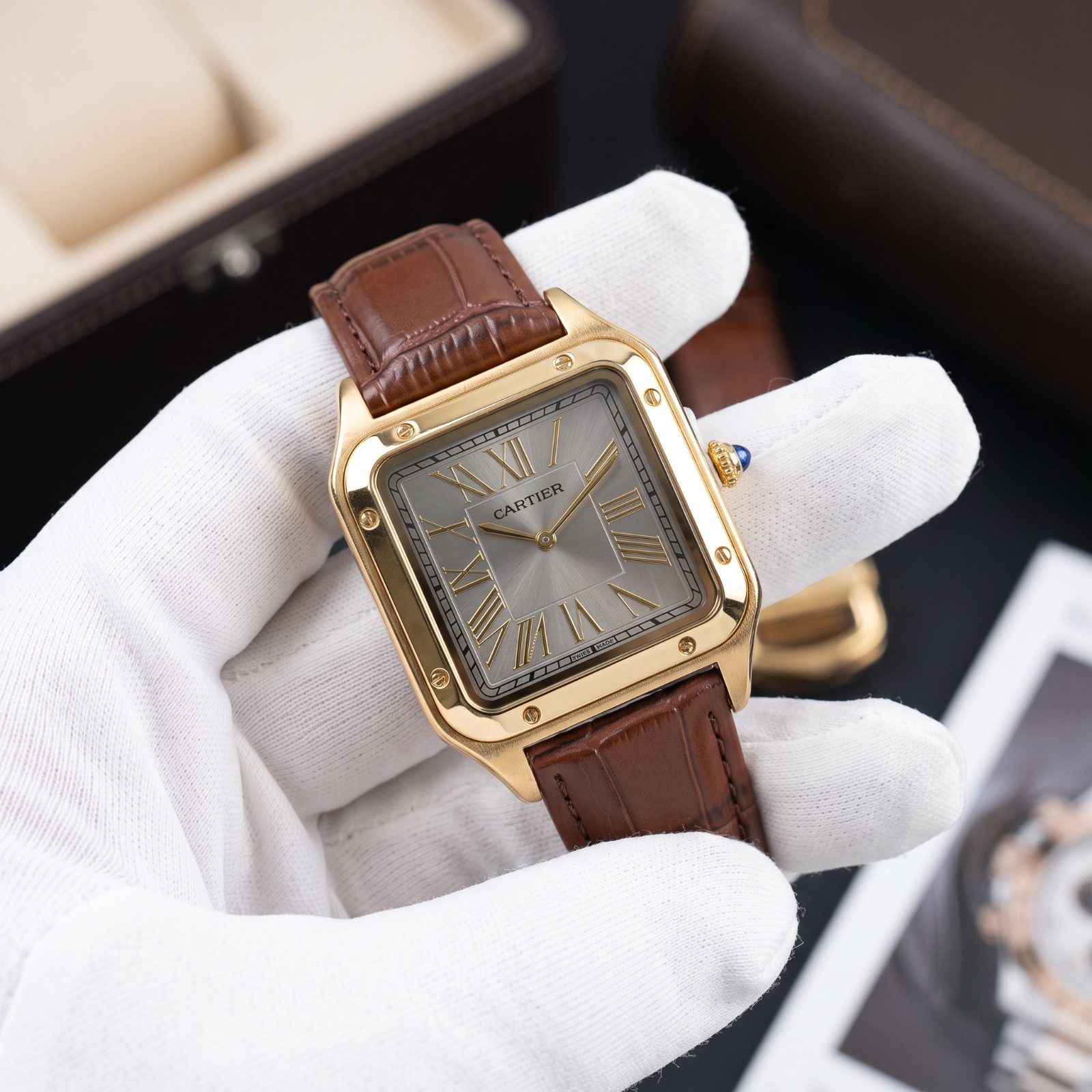 Cartier Santos-Dumont view 1