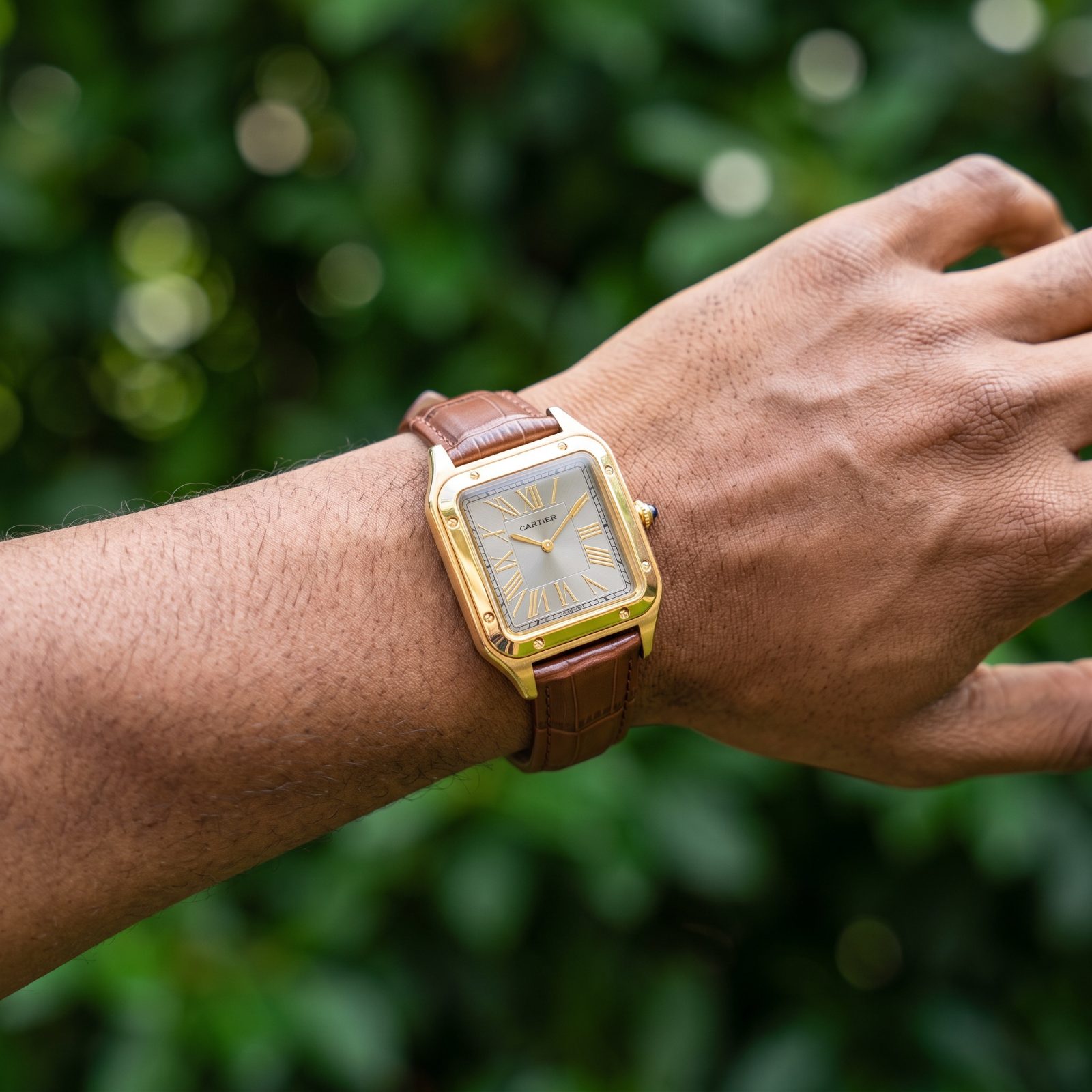 Cartier Santos-Dumont view 2