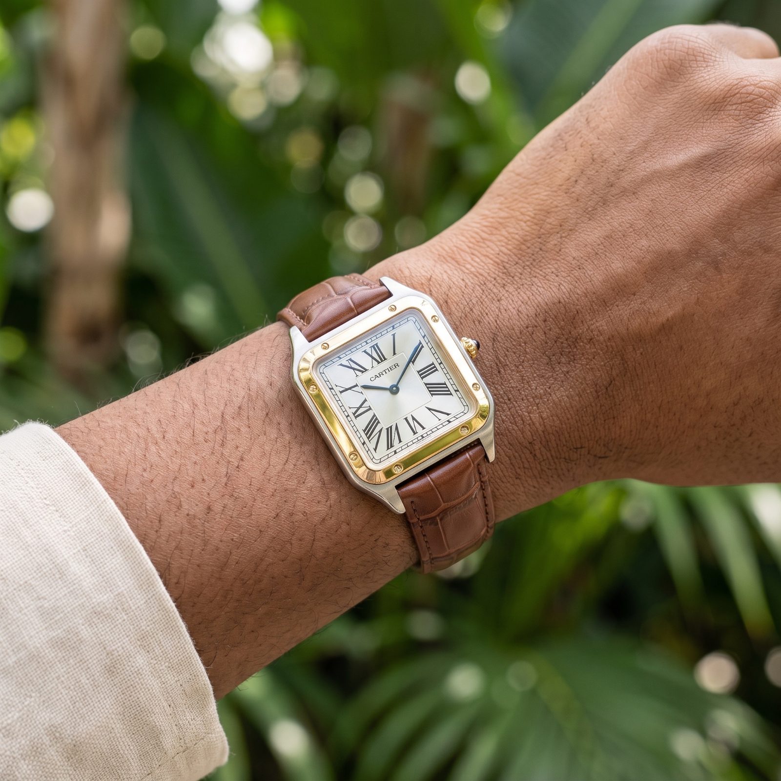 Cartier Santos-Dumont view 2