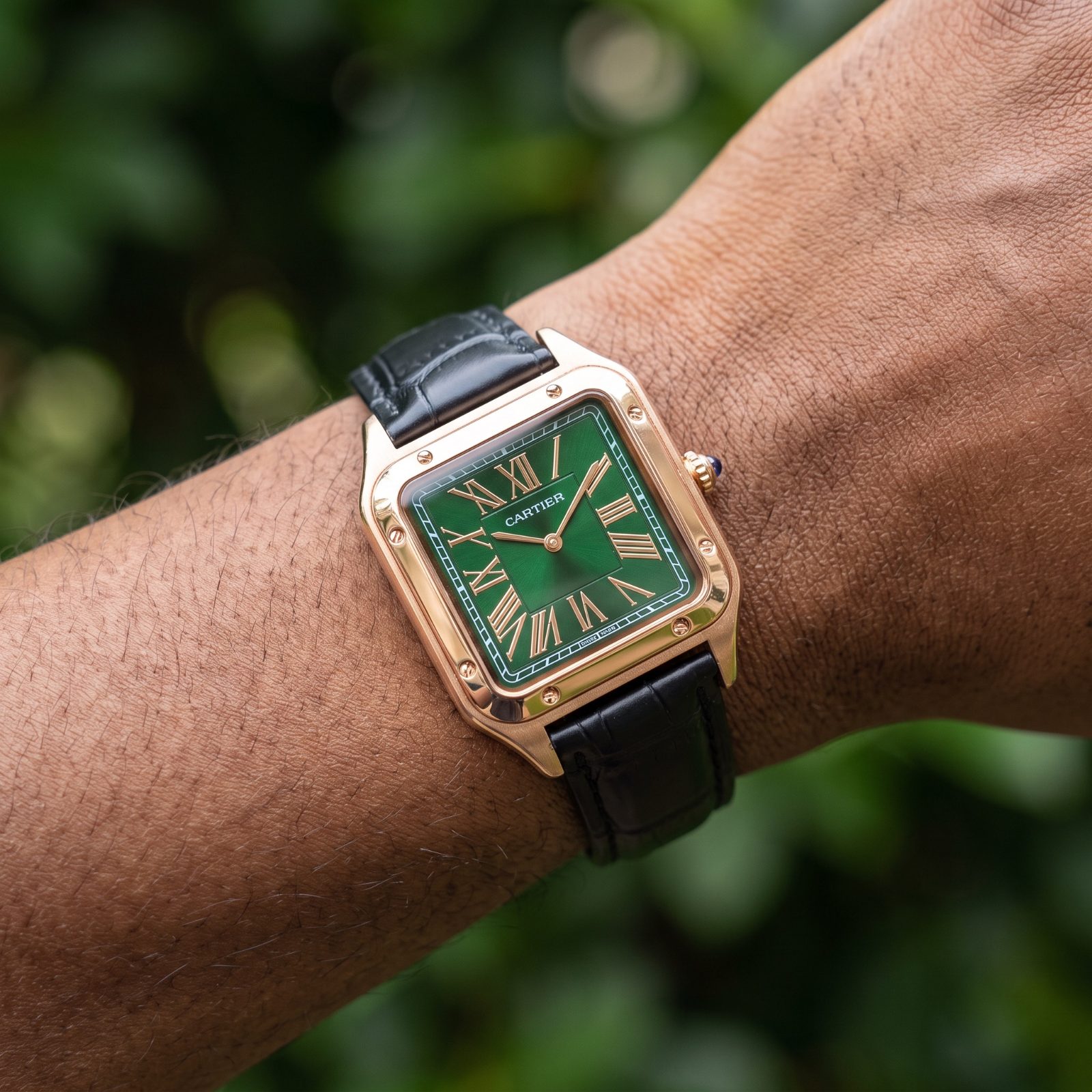 Cartier Santos-Dumont view 2