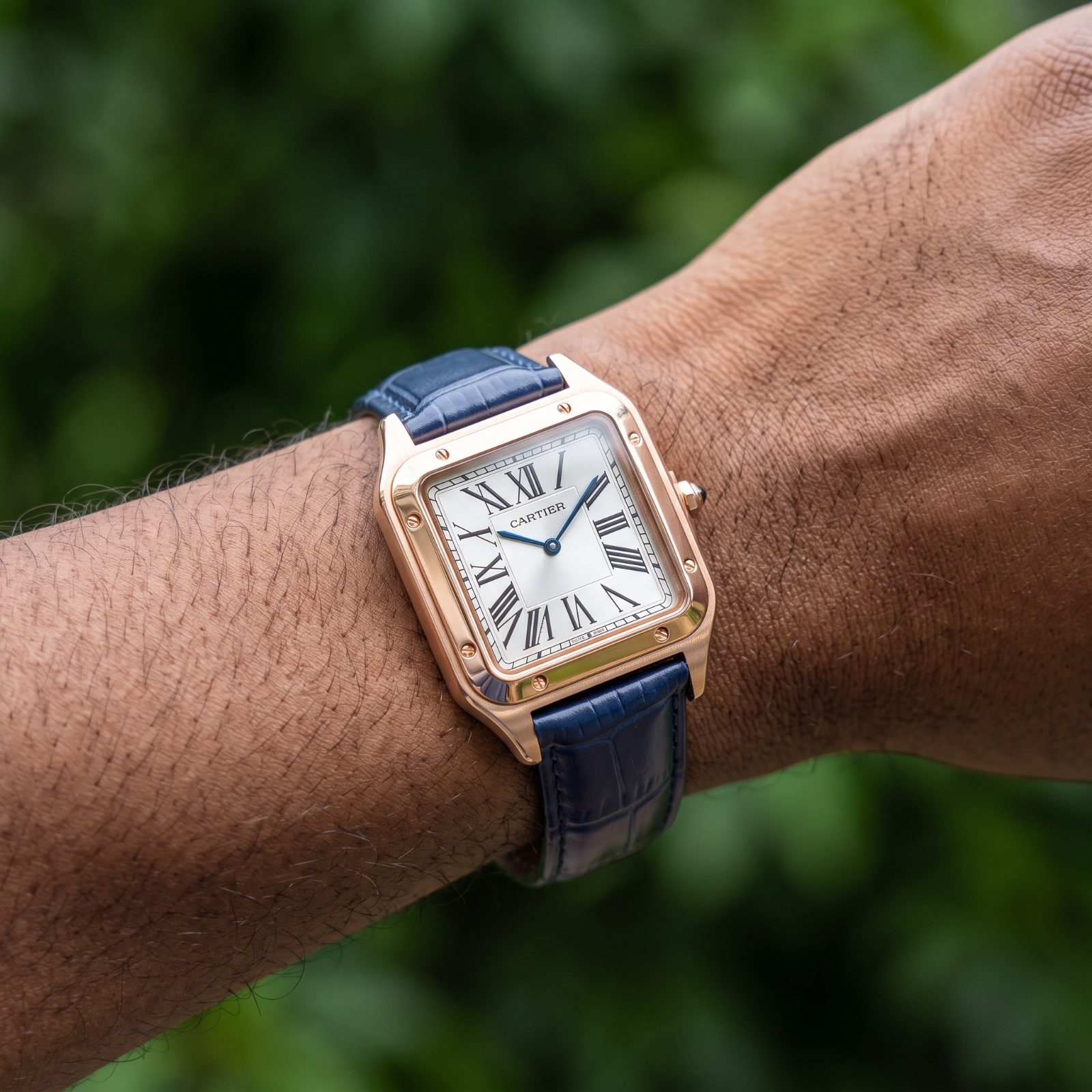Cartier Santos-Dumont view 2