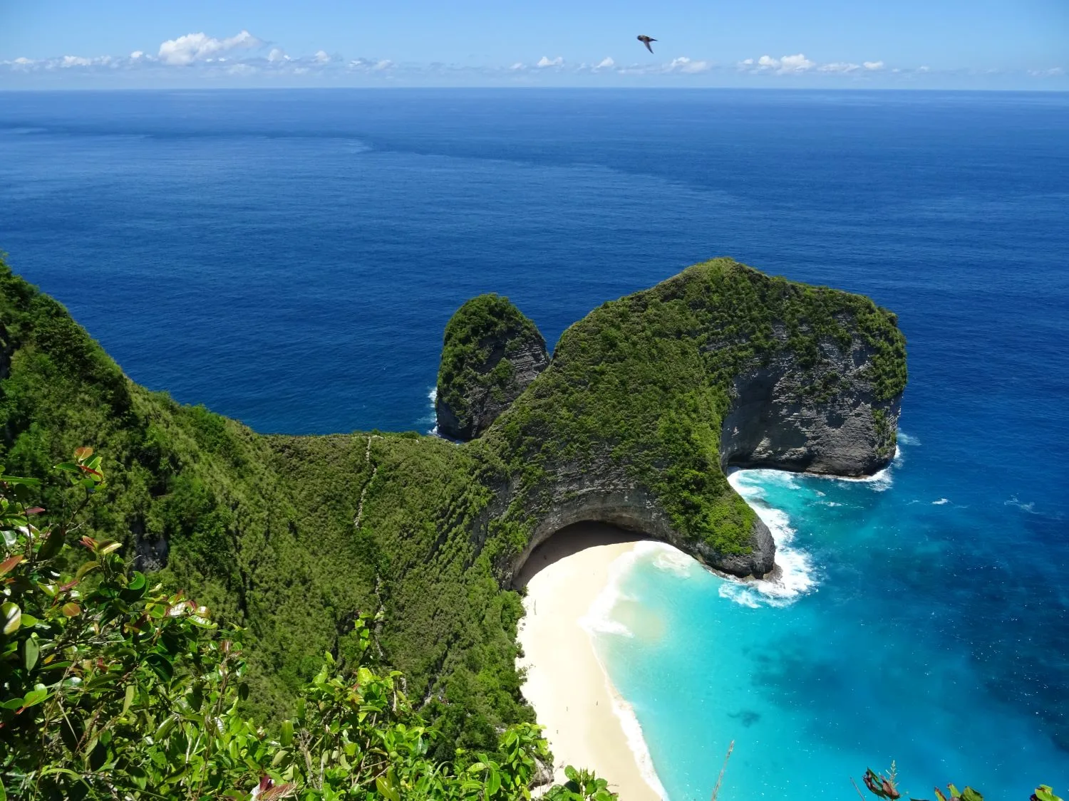 Kelingking-beach-nusa-penida9