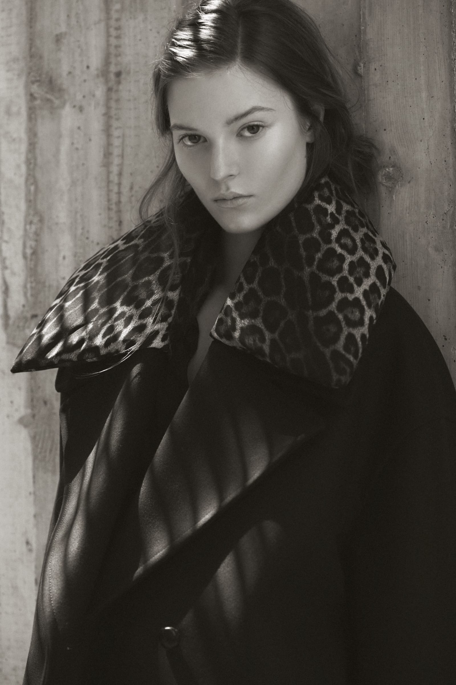 IMG_5000-1765057923249