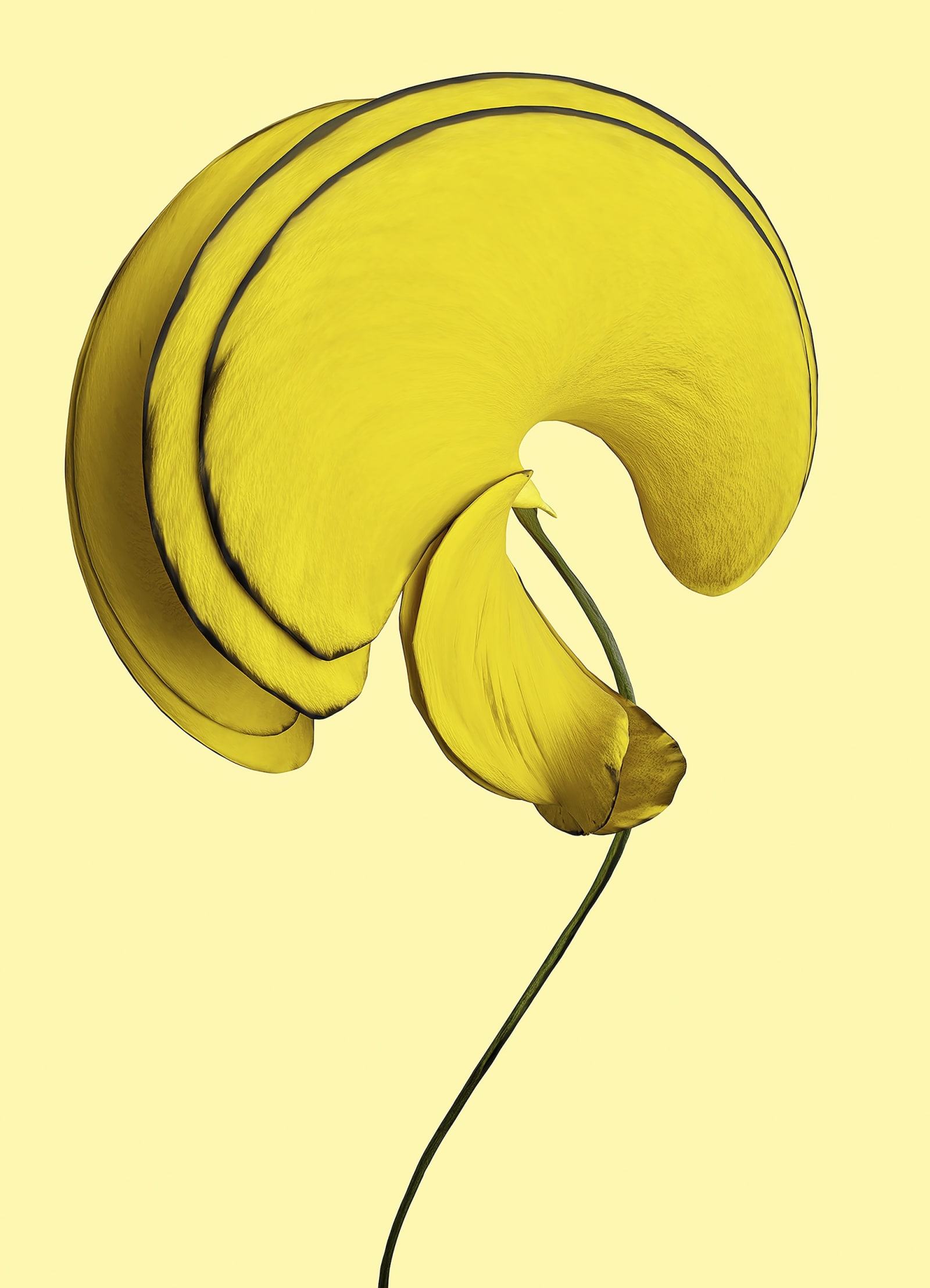 SAINT-LAURENT_RIVE_DROITE_VINCENT_FOURNIER_01_HR-1753304965792