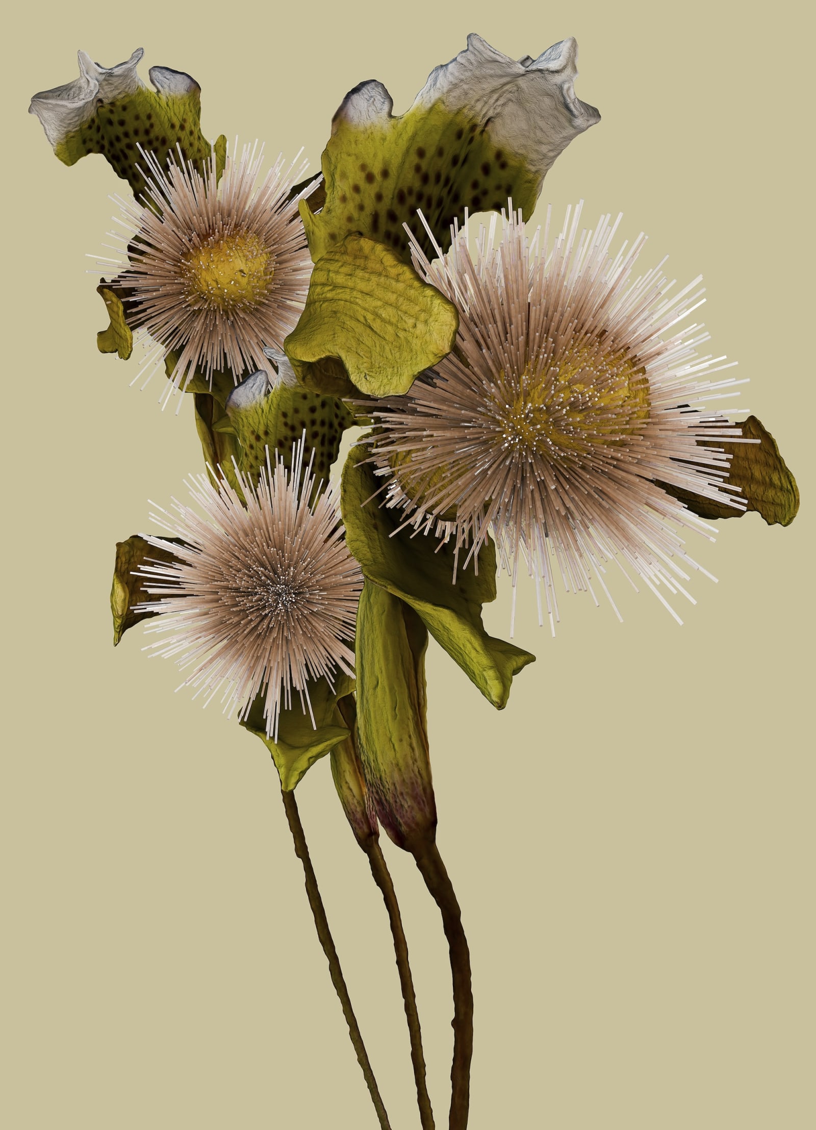 SAINT-LAURENT_RIVE_DROITE_VINCENT_FOURNIER_02_HR-1753304967089