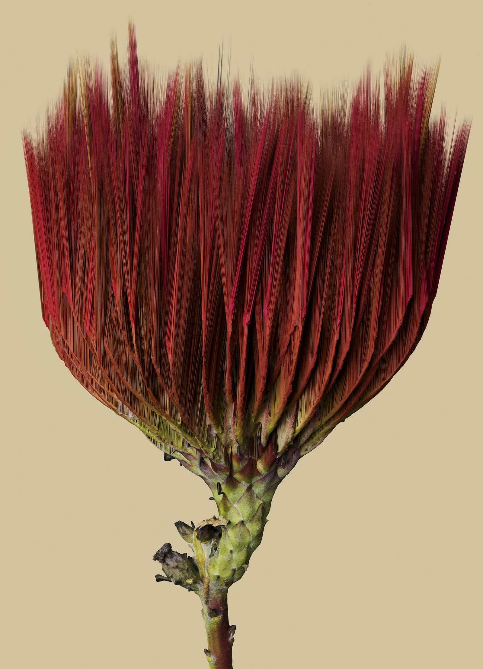 SAINT-LAURENT_RIVE_DROITE_VINCENT_FOURNIER_03_HR-1753304968487