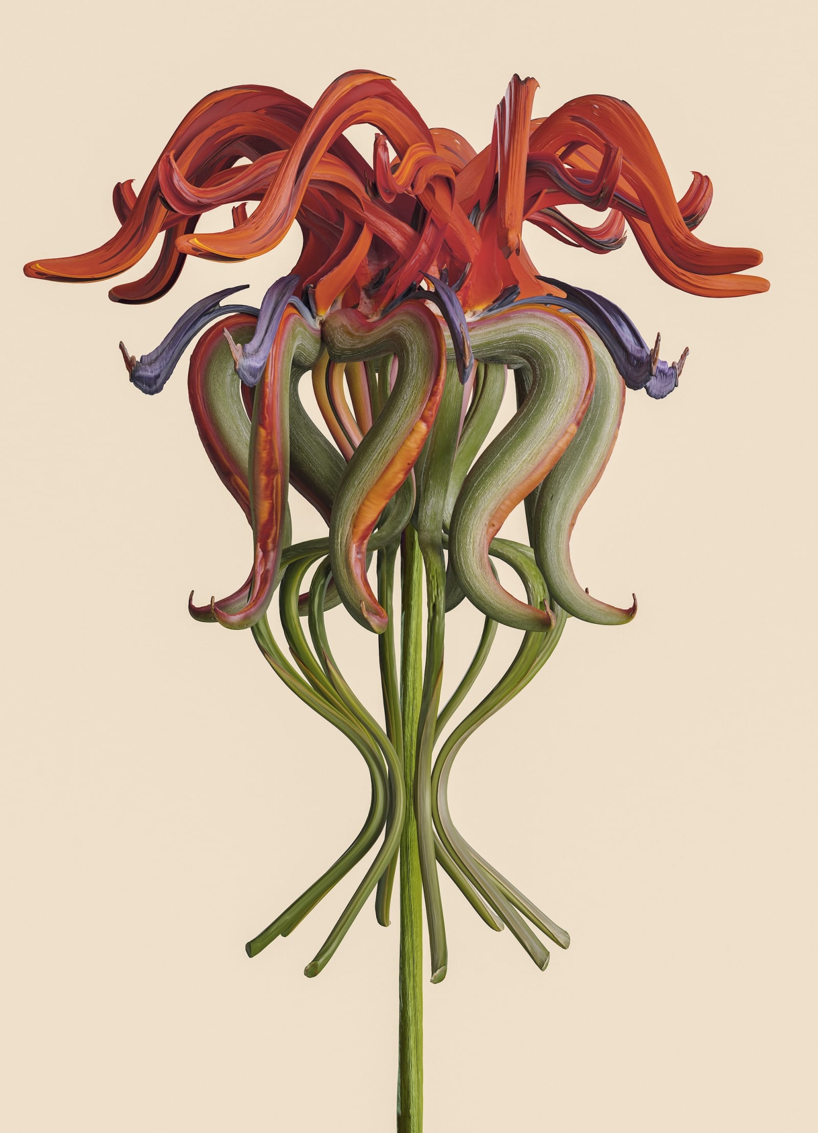 SAINT-LAURENT_RIVE_DROITE_VINCENT_FOURNIER_05_HR-1753304971024